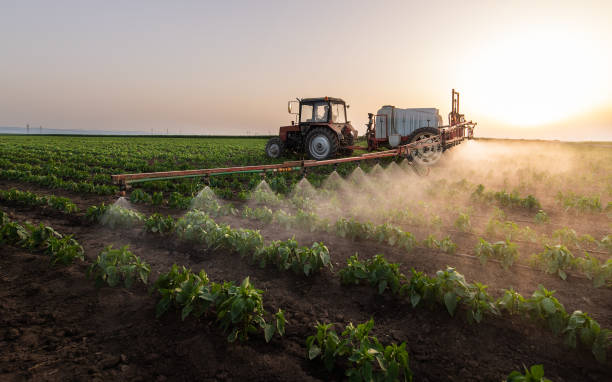 Reliable Dayton, VA Pest Control Solutions