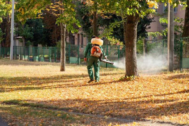 Best Flea Control Services  in Dayton, VA