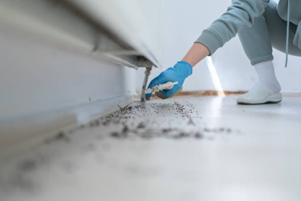 Best Emergency Pest Control  in Dayton, VA